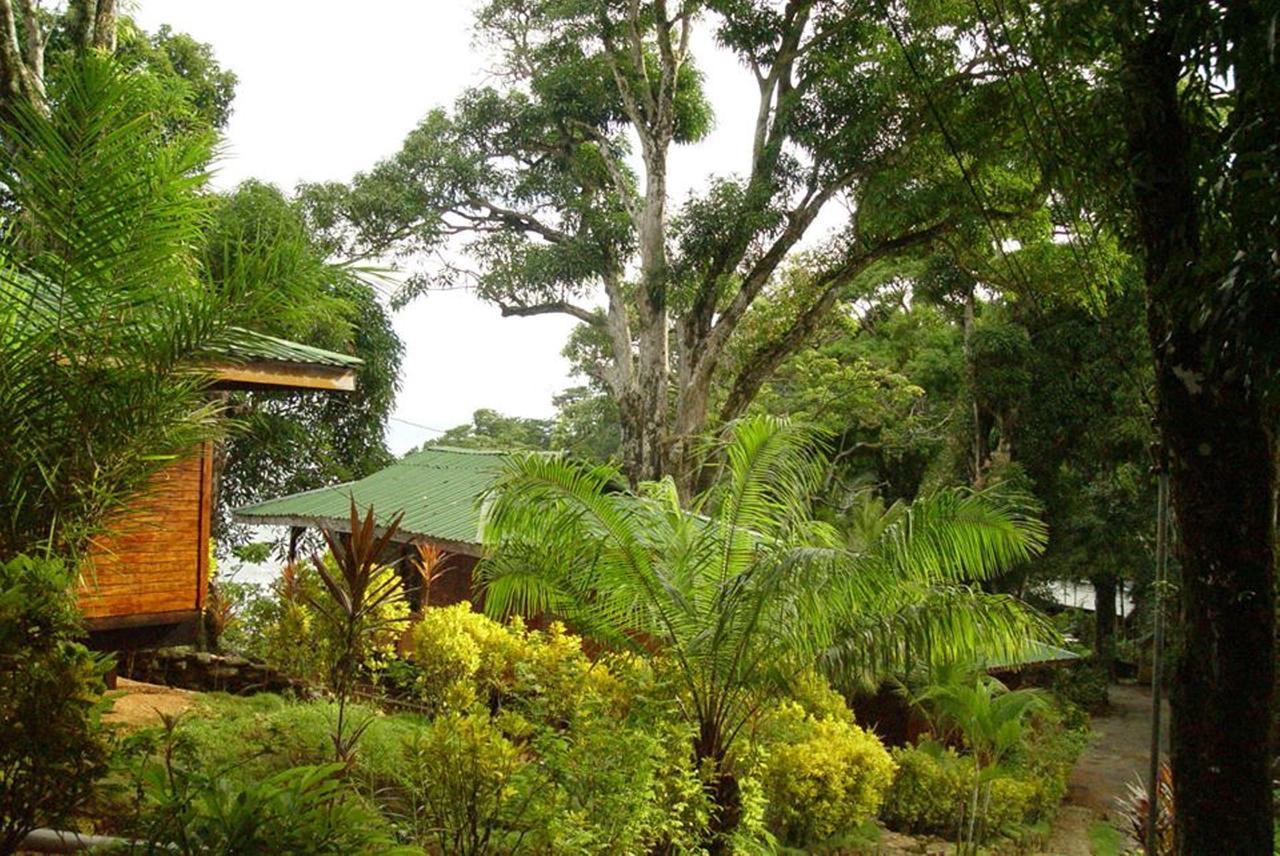 Vila Cabinas La Parcela Dominical Exteriér fotografie